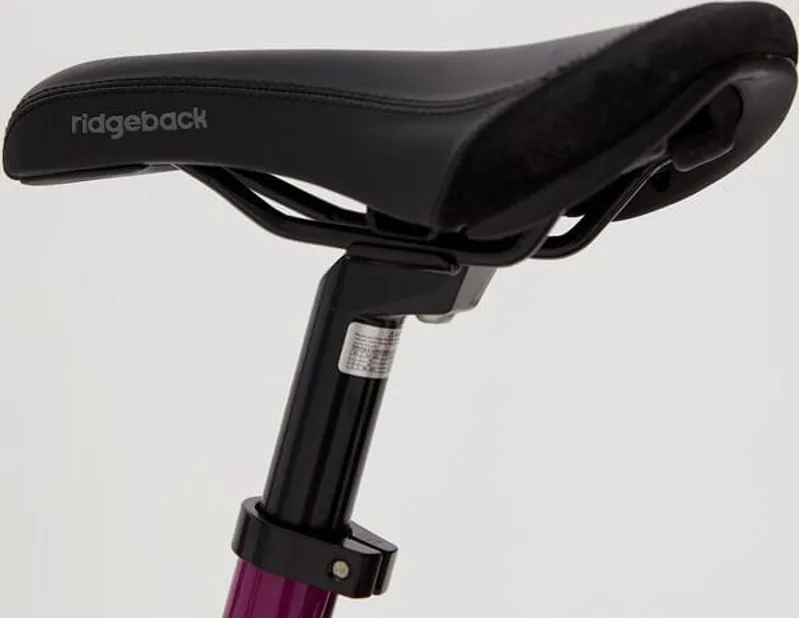 Ridgeback Harmony 20 Kids Bike in Purple-6